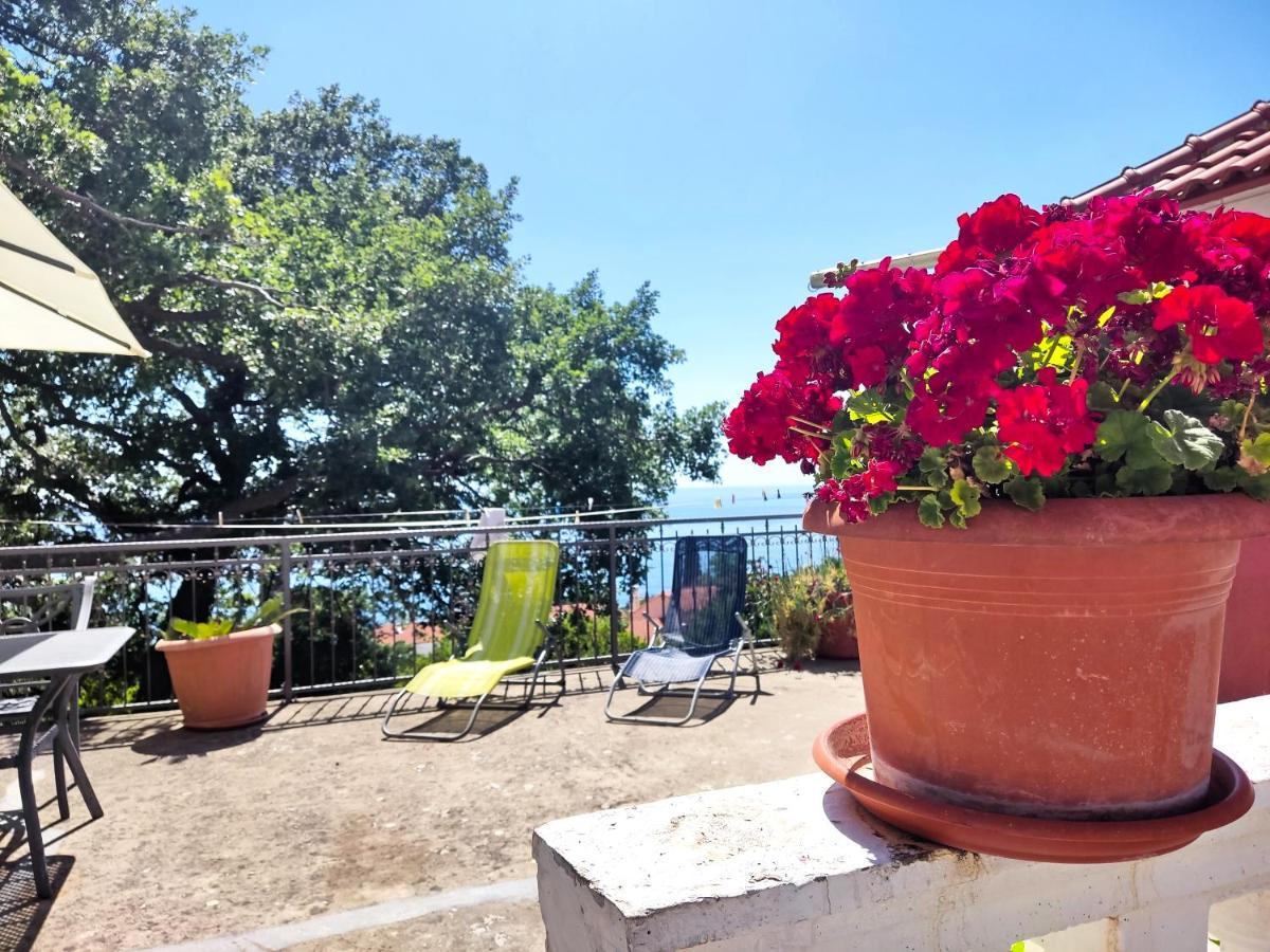 Dubrovnik Moonshine Apartment 믈리니 외부 사진