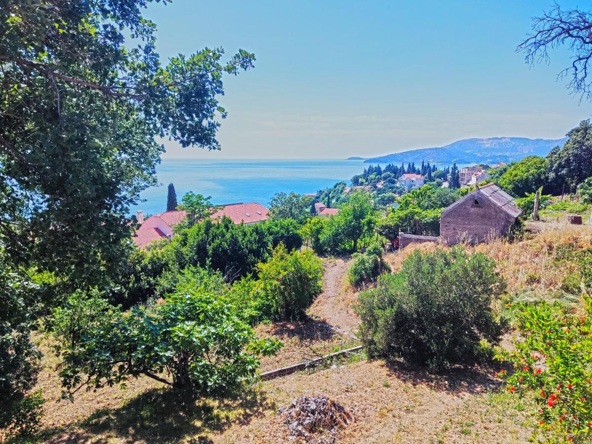 Dubrovnik Moonshine Apartment 믈리니 외부 사진