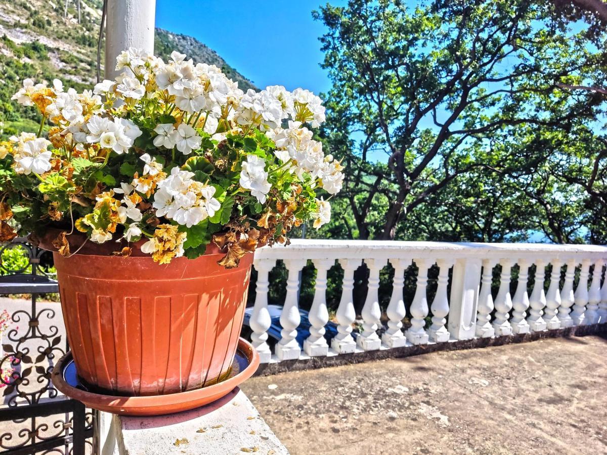 Dubrovnik Moonshine Apartment 믈리니 외부 사진