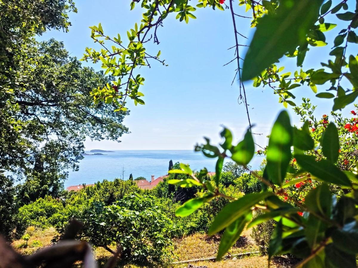 Dubrovnik Moonshine Apartment 믈리니 외부 사진